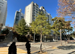 샘플 이미지